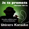 Univers Karaoké - Je te promets (Rendu célèbre par Johnny Hallyday) [Version karaoké 2013] - Single